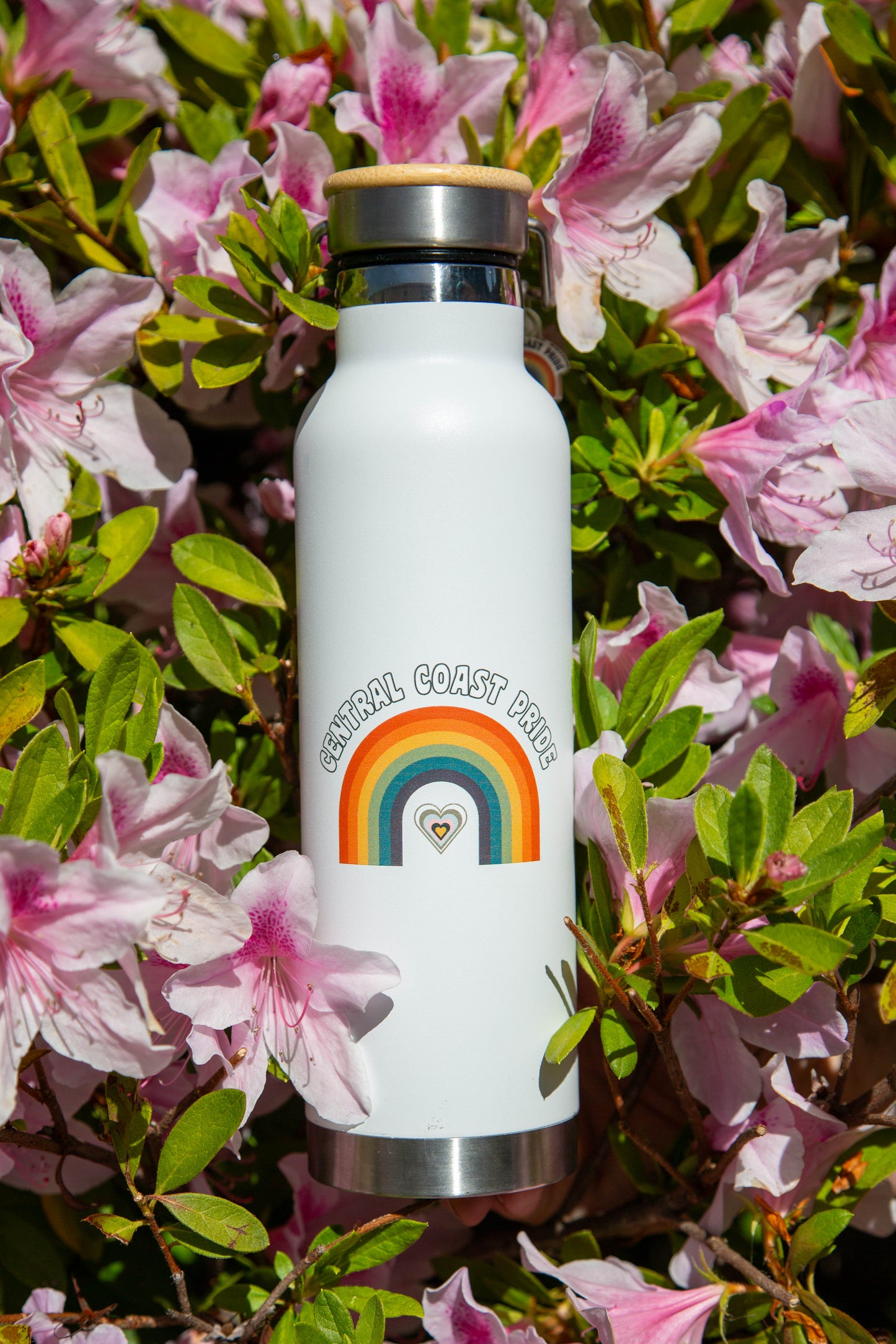 Reusable Bottles